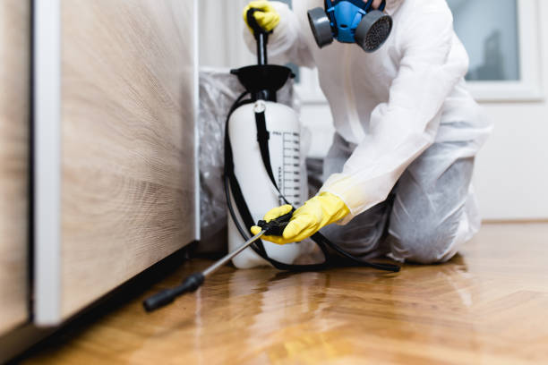 Wasp Removal Services in Sioux Center, IA