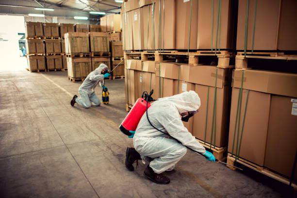 Best Insect Control  in Sioux Center, IA