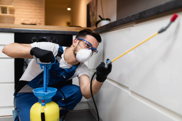 Best Exterminator Services  in Sioux Center, IA