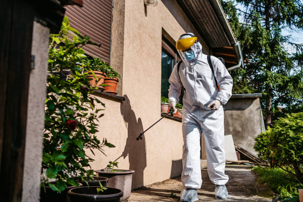Best Pest Prevention Services  in Sioux Center, IA