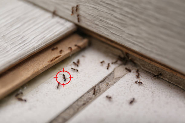 Sioux Center, IA Pest Control Company