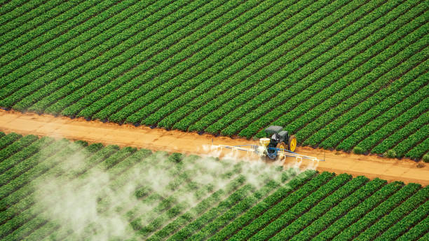Best Best Pest Control Companies  in Sioux Center, IA