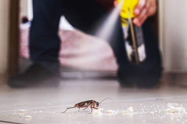 Best Pest Removal Services  in Sioux Center, IA