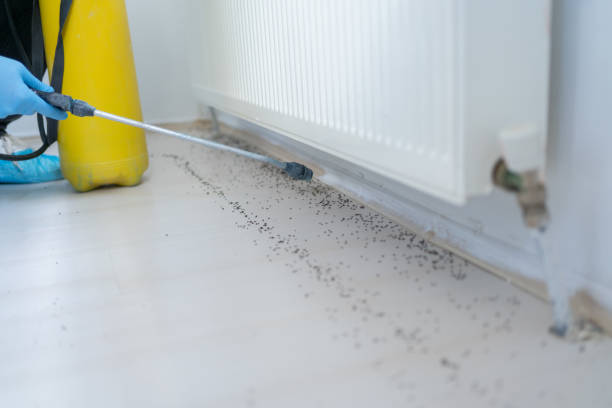 Best Pest Control Treatment  in Sioux Center, IA