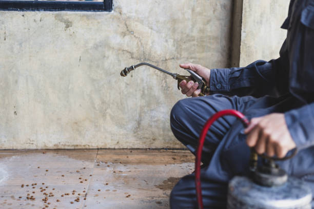 Best Local Pest Control Services  in Sioux Center, IA