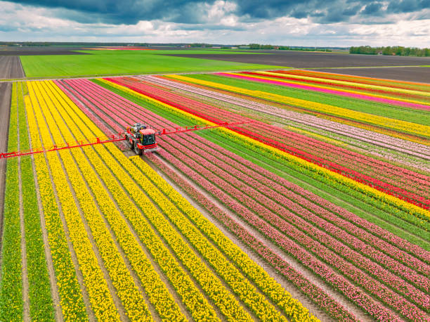 Reliable Sioux Center, IA Pest Control Solutions